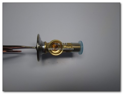 EV. LEXUS W/EQ 5/16 X 1/2 R12